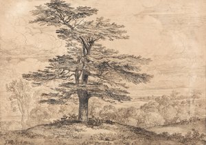 Un cedro su una collina con un gruppo di cervi sotto la sua ombra da James Ward